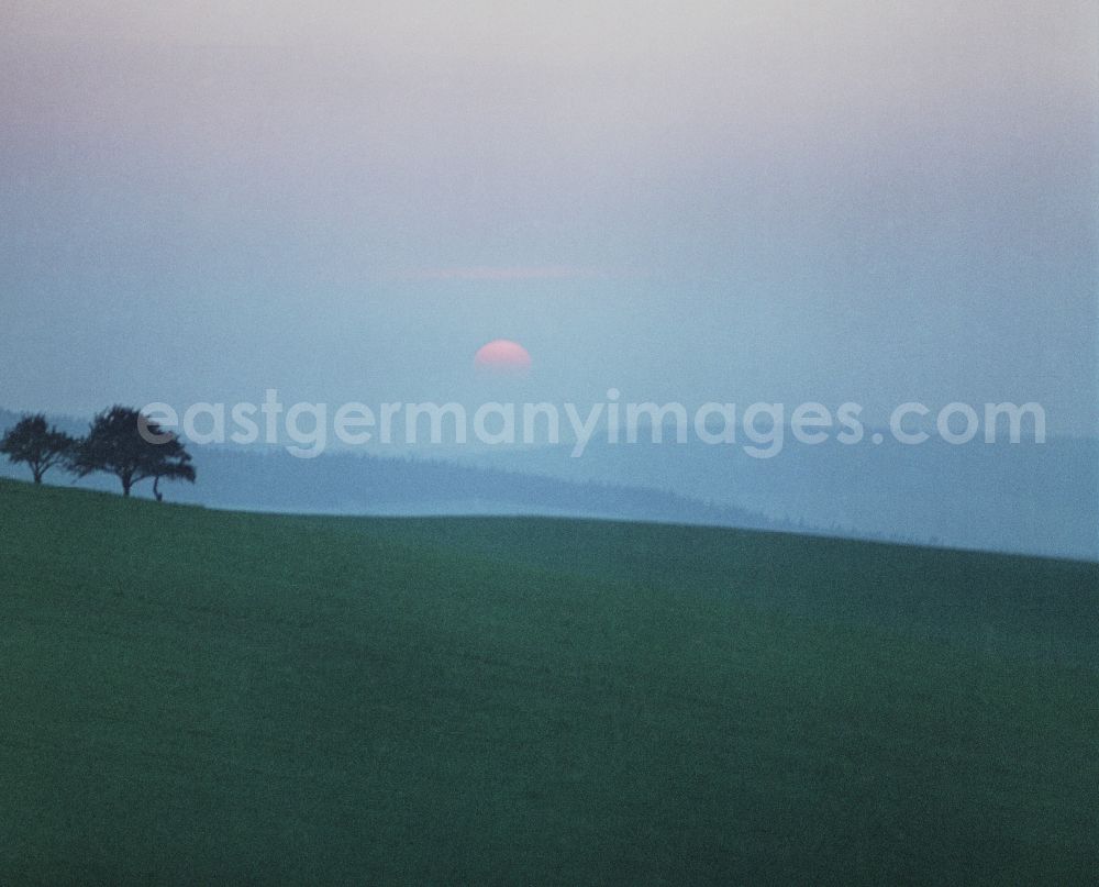 Räckelwitz: Working photo film Portrait of a Center A sunset on a field near Raeckelwitz, Saxony in the territory of the former GDR, German Democratic Republic