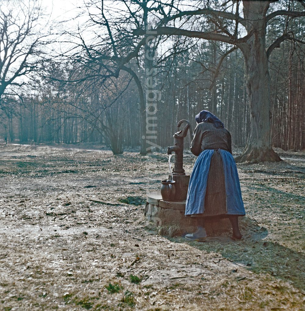 GDR photo archive: Ortschaft Heide - Scene from the film and television production Rublak - The Legend of the Surveyed Land in Heide, Saxony, in the area of the former GDR, German Democratic Republic. An old farmer's wife in everyday dress stands at the edge of a forest at a hand pump. Water flows into a clay jug. The actress Doris Thalmer as a Sorbian farmer's wife