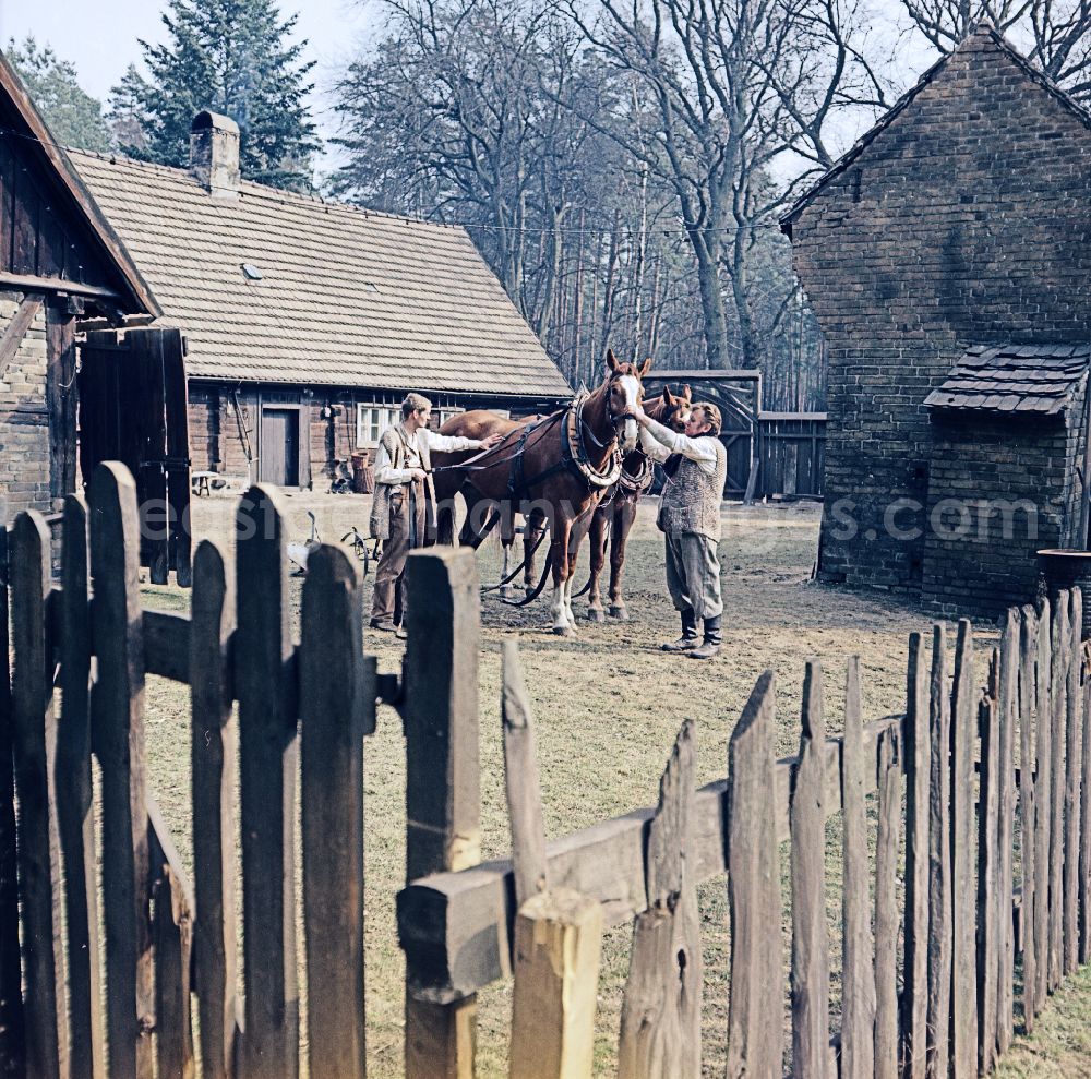 GDR image archive: Weißkeißel - Scene from the film and television production Rublak - The Legend of the Surveyed Land in the Haide district of Weisskeissel, Saxony in the area of the former GDR, German Democratic Republic. In the yard of a farm, two men are harnessing horses to a plough