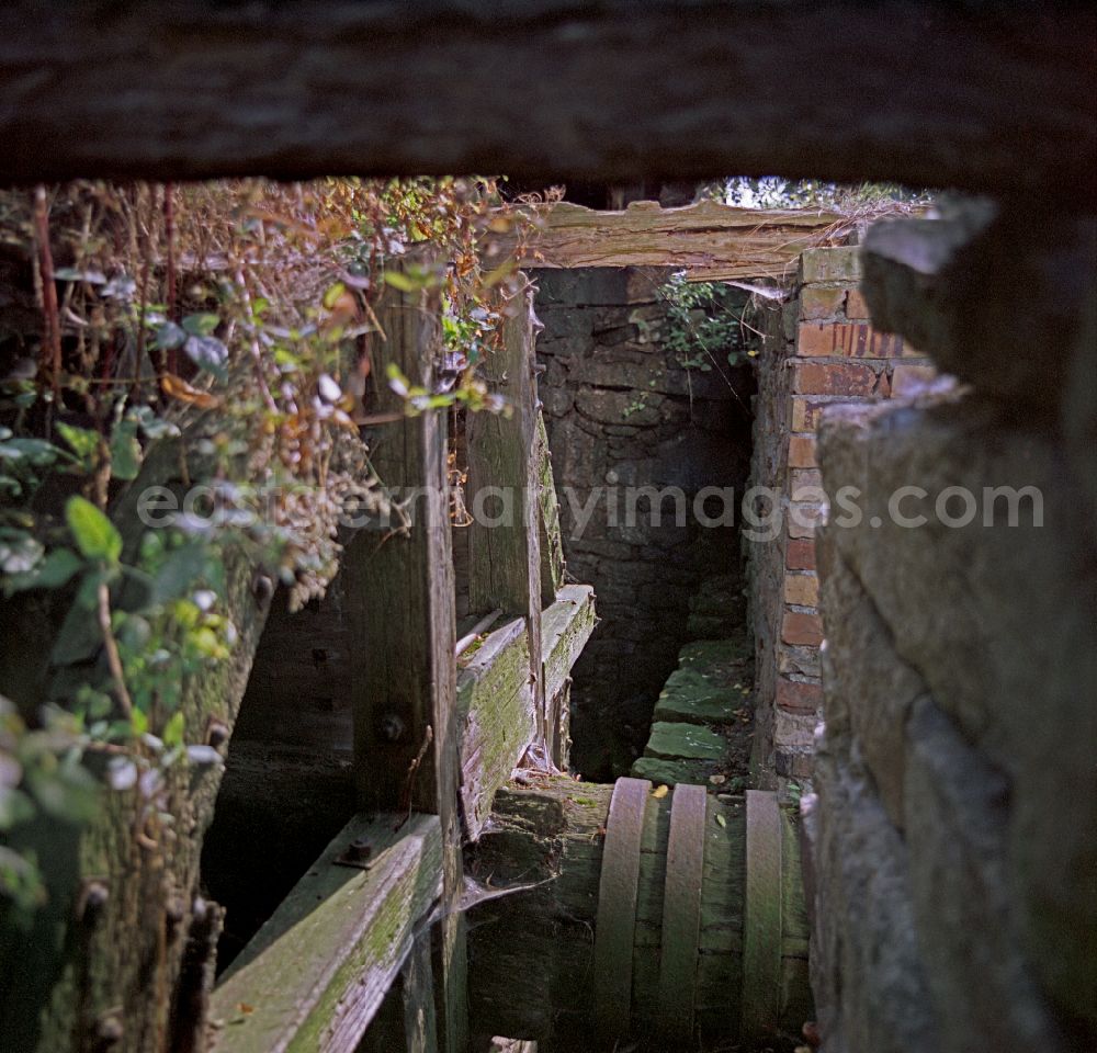 GDR picture archive: Räckelwitz - Scene photo from the film Portrait of a Centerpiece paddle wheel of a water mill