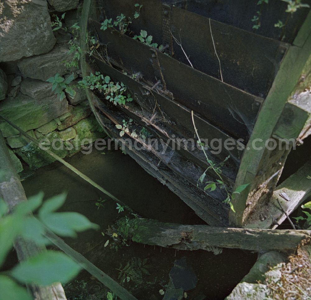 Räckelwitz: Scene photo from the film Portrait of a Centerpiece paddle wheel of a water mill