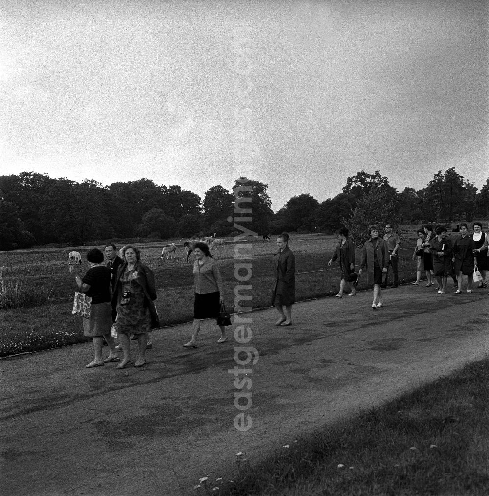 GDR image archive: Berlin - Besuch im Tierpark Berlin - Friedrichsfelde.