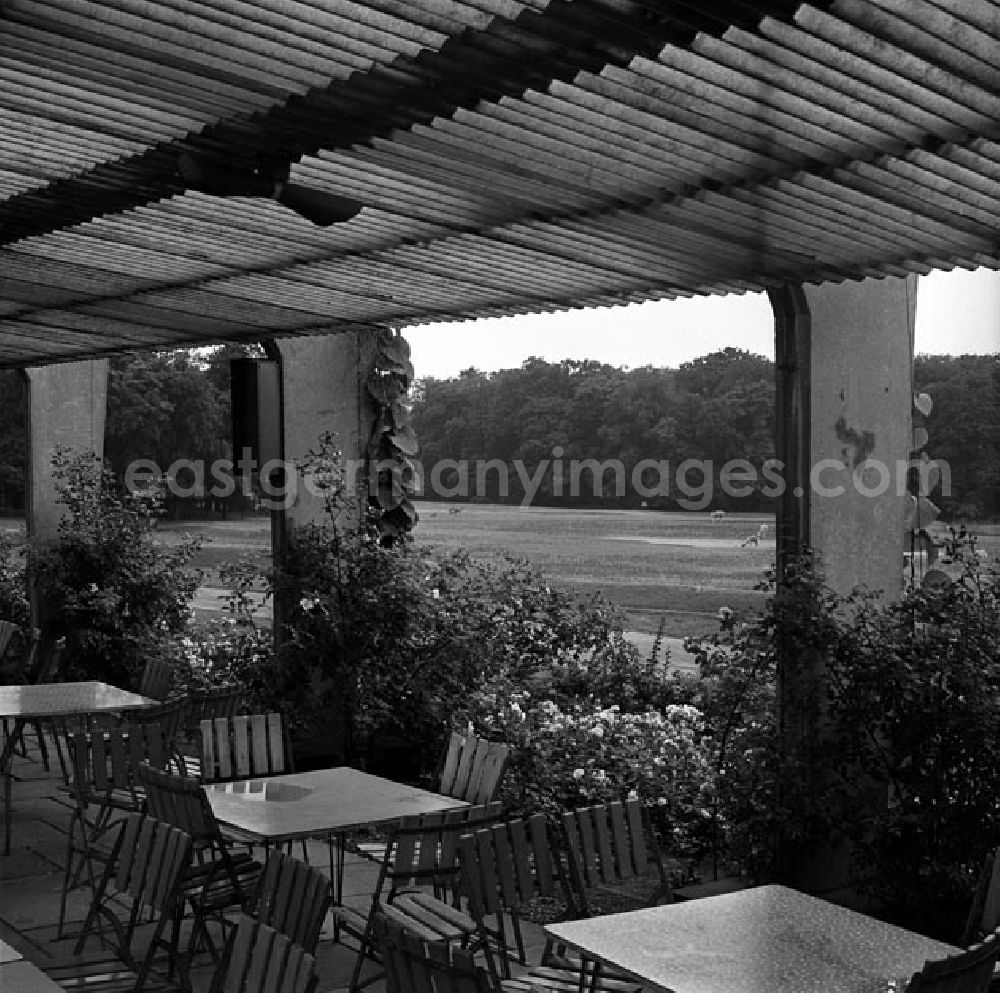 GDR picture archive: Berlin - Besuch im Tierpark Berlin - Friedrichsfelde.