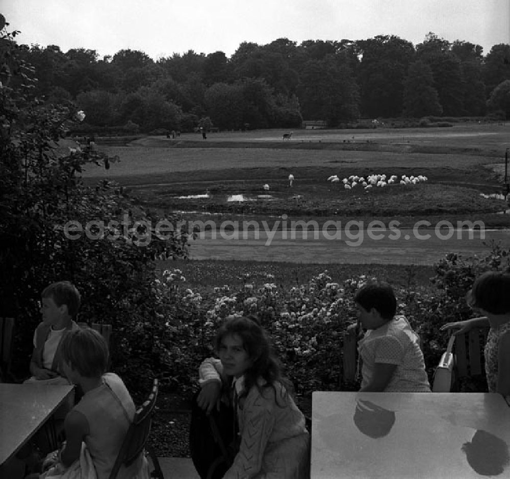 GDR photo archive: Berlin - Besuch im Tierpark Berlin - Friedrichsfelde.