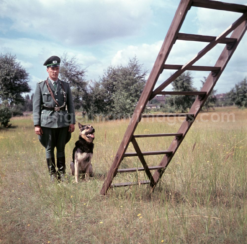 GDR picture archive: Pretzsch (Elbe) - Training of the dog squad of the People's Police in the district Pretzsch (Elbe) in Pretzsch (Elbe), Saxony-Anhalt in the territory of the former GDR, German Democratic Republic