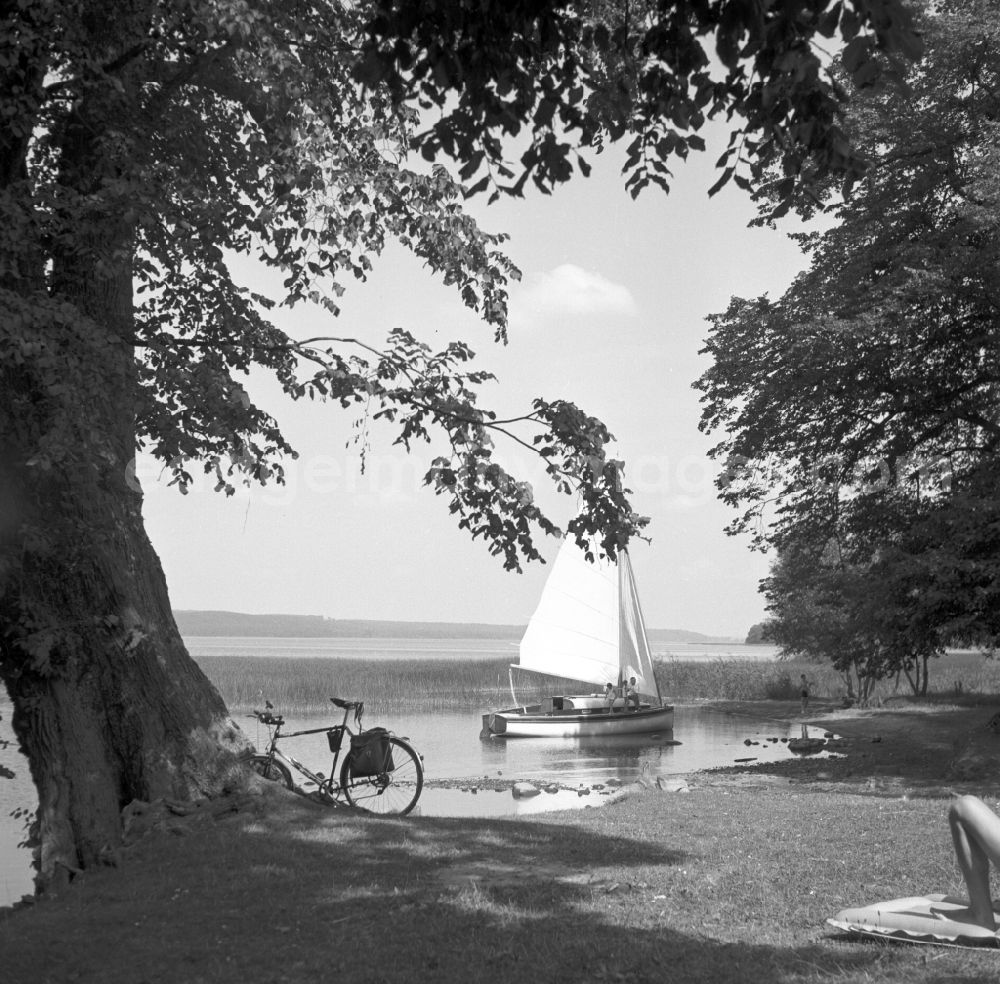 Berlin: Bank area and water surface of the Dahme at the street Seebad Wendenschloss in the district of Koepenick in Berlin East Berlin in the territory of the former GDR, German Democratic Republic