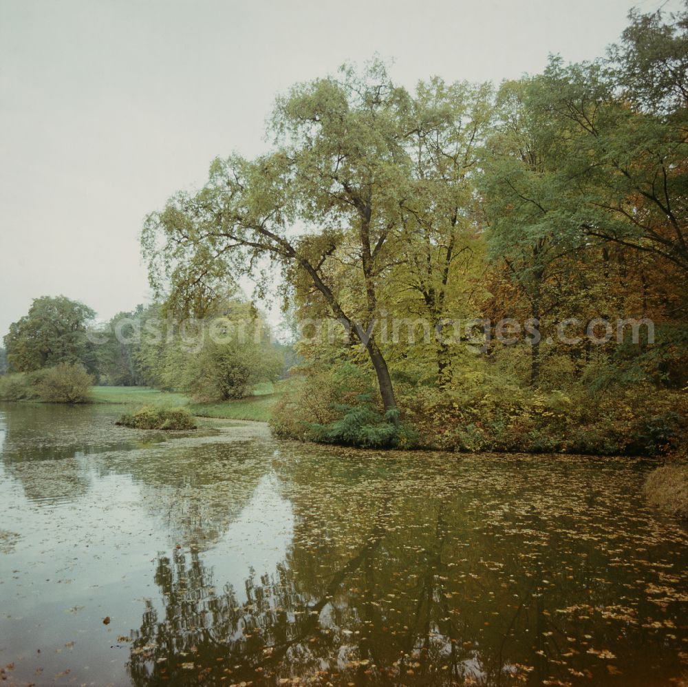 GDR image archive: Wörlitz - Shore area and water surface of the lake Kraegengraben - Woerlitzer See on street Kirchgasse in Woerlitz, Saxony-Anhalt on the territory of the former GDR, German Democratic Republic