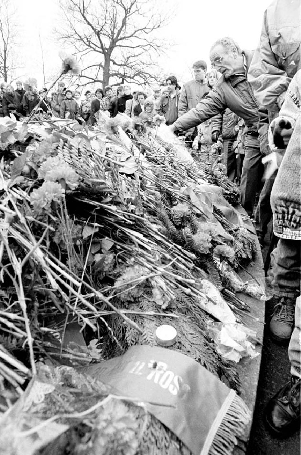 GDR picture archive: Berlin - Karl Liebknecht-und Rosa Luxemburg-Demonstration 9.1.1994 Umschlagnr.: 1994-