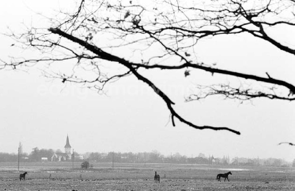 GDR photo archive: Oberhavel - Kreis Oberhavel 19.1.1994 Umschlagsnr.: 1994-14