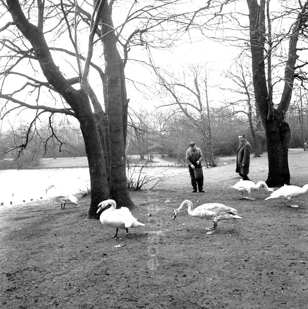 GDR picture archive: Berlin - Umschlagsnr.: 1966-93