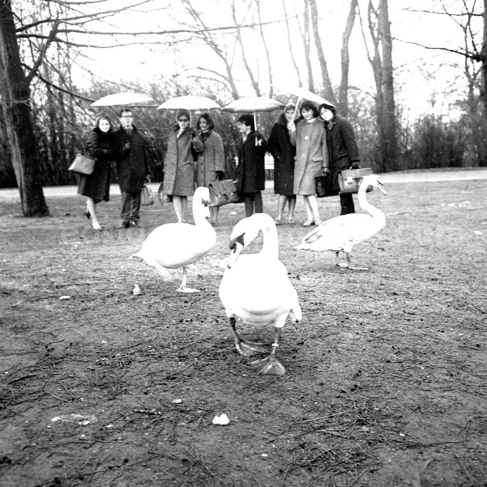 Berlin: Umschlagsnr.: 1966-93