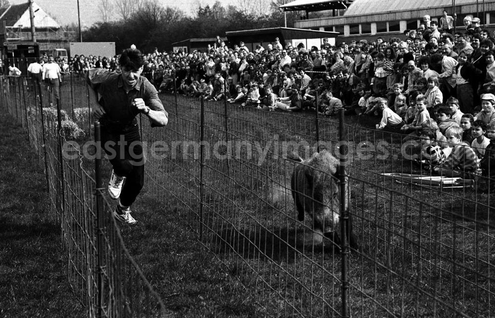 GDR picture archive: - Wildschweinrennen in Kyritz Umschlag:7358