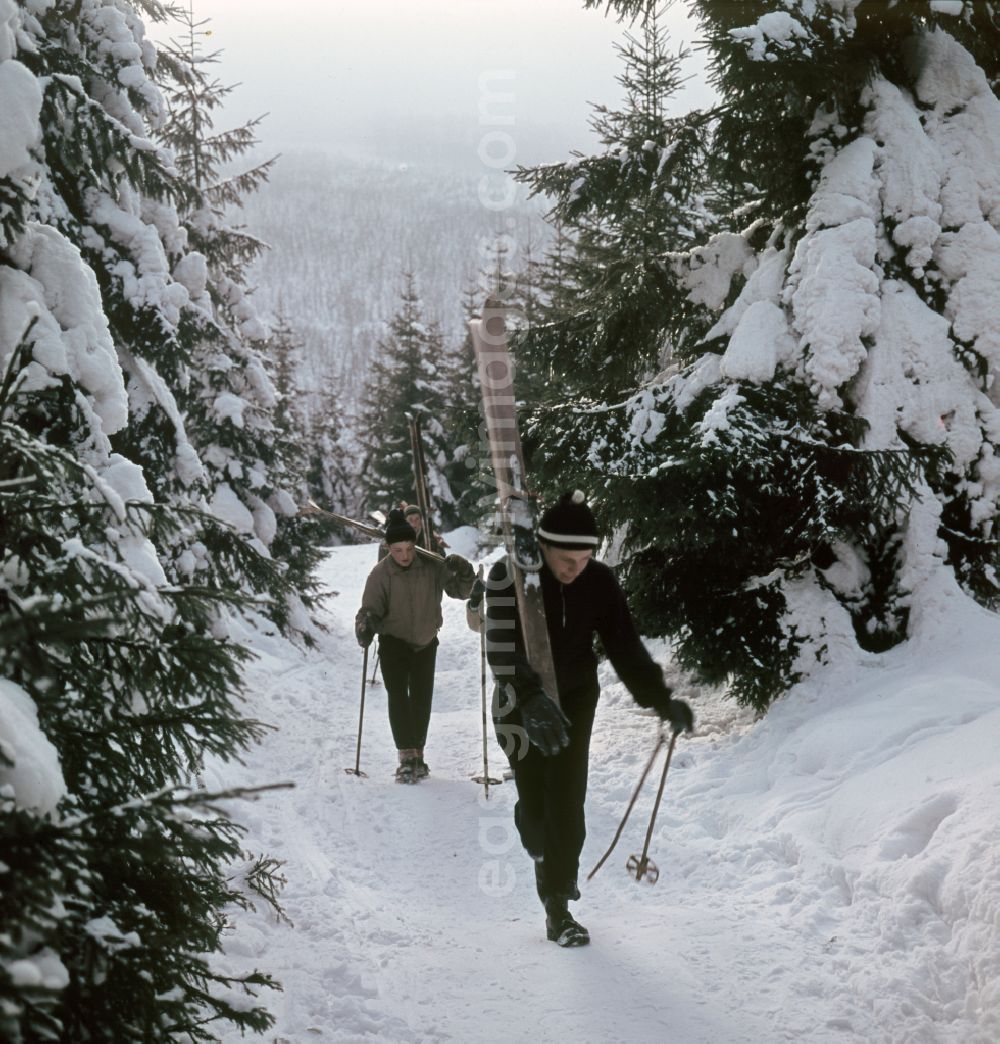 GDR image archive: Bad Tabarz - Winter landscape in Bad Tabarz, Thuringia on the territory of the former GDR, German Democratic Republic