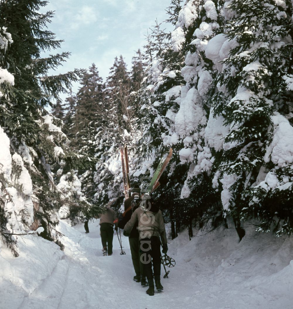 GDR photo archive: Bad Tabarz - Winter landscape in Bad Tabarz, Thuringia on the territory of the former GDR, German Democratic Republic