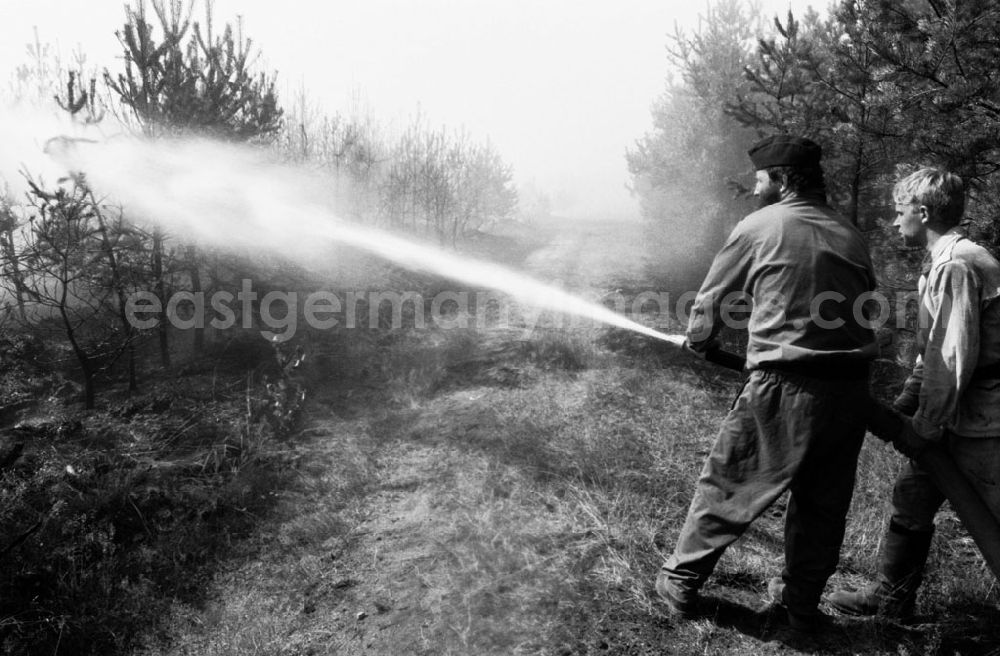 Sachsen Anhalt-Wittenberg: Wittenberg/Sachsen Anhalt 20 ha Waldbrand bei Wittenberg 02.08.9