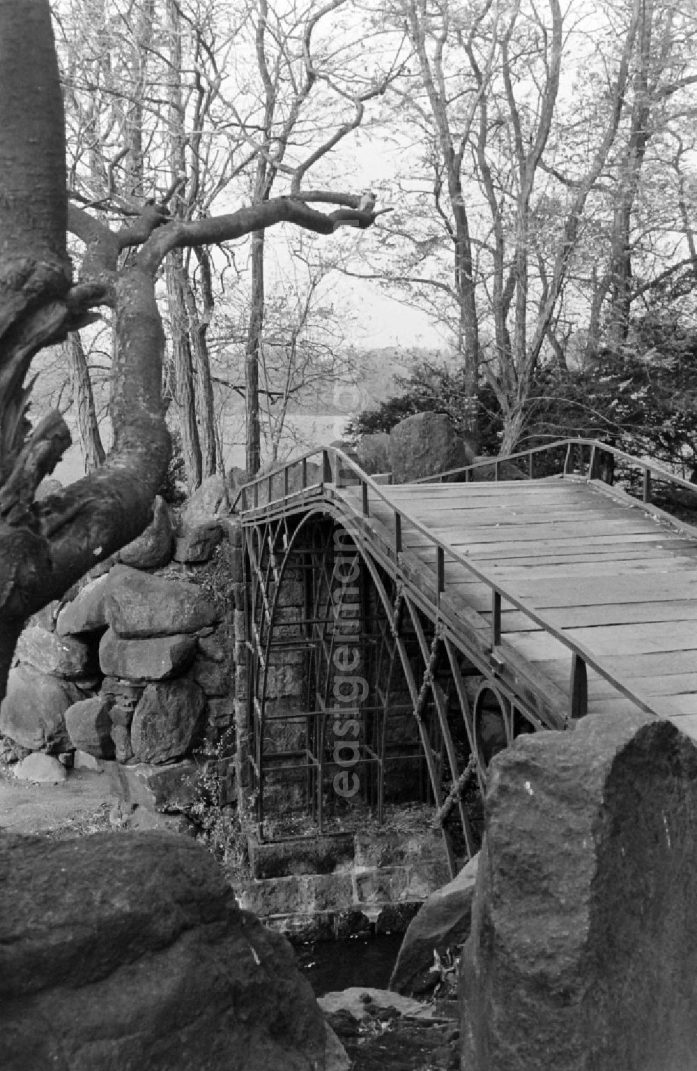 GDR picture archive: Oranienbaum-Wörlitz - Iron Bridge in Woerlitz Park in Oranienbaum-Woerlitz, Saxony-Anhalt in the territory of the former GDR, German Democratic Republic