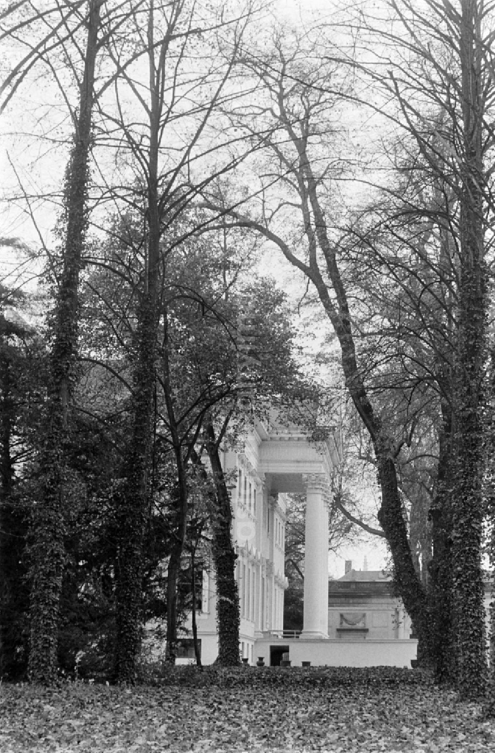 GDR picture archive: Oranienbaum-Wörlitz - Woerlitz Castle in Woerlitz Park in Oranienbaum-Woerlitz, Saxony-Anhalt in the territory of the former GDR, German Democratic Republic