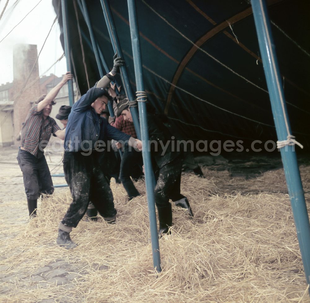 GDR picture archive: Berlin - Tent erection by employees of Circus Busch in Berlin East Berlin in the territory of the former GDR, German Democratic Republic