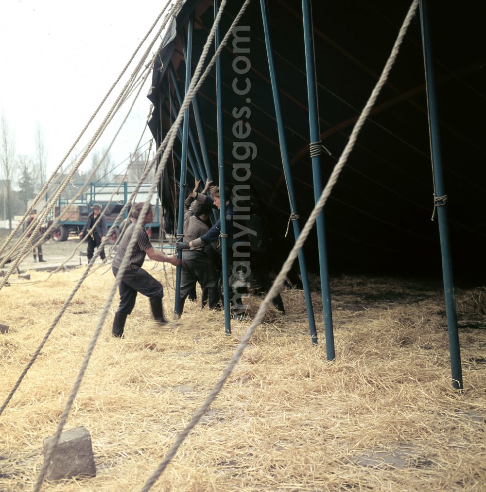 GDR picture archive: Berlin - Construction work on the circus tent of the Circus Busch in East Berlin in the territory of the former GDR, German Democratic Republic