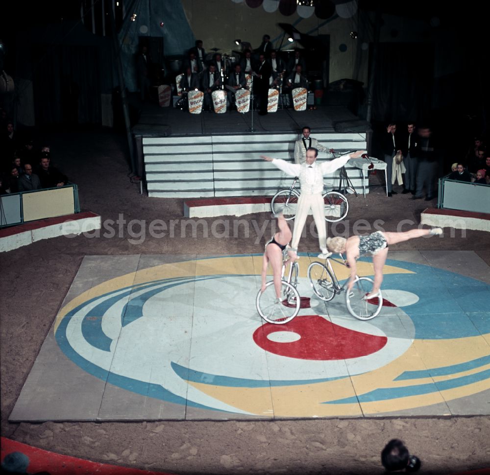 GDR image archive: Berlin - Acrobatic performance in the ring of the Circus Busch in Berlin East Berlin in the territory of the former GDR, German Democratic Republic