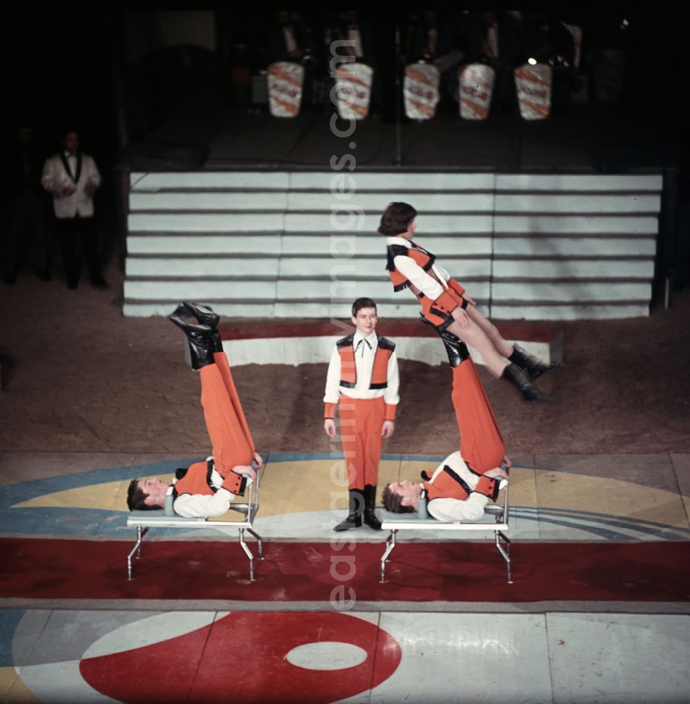 GDR picture archive: Berlin - Acrobatic performance in the ring of the Circus Busch in Berlin East Berlin in the territory of the former GDR, German Democratic Republic