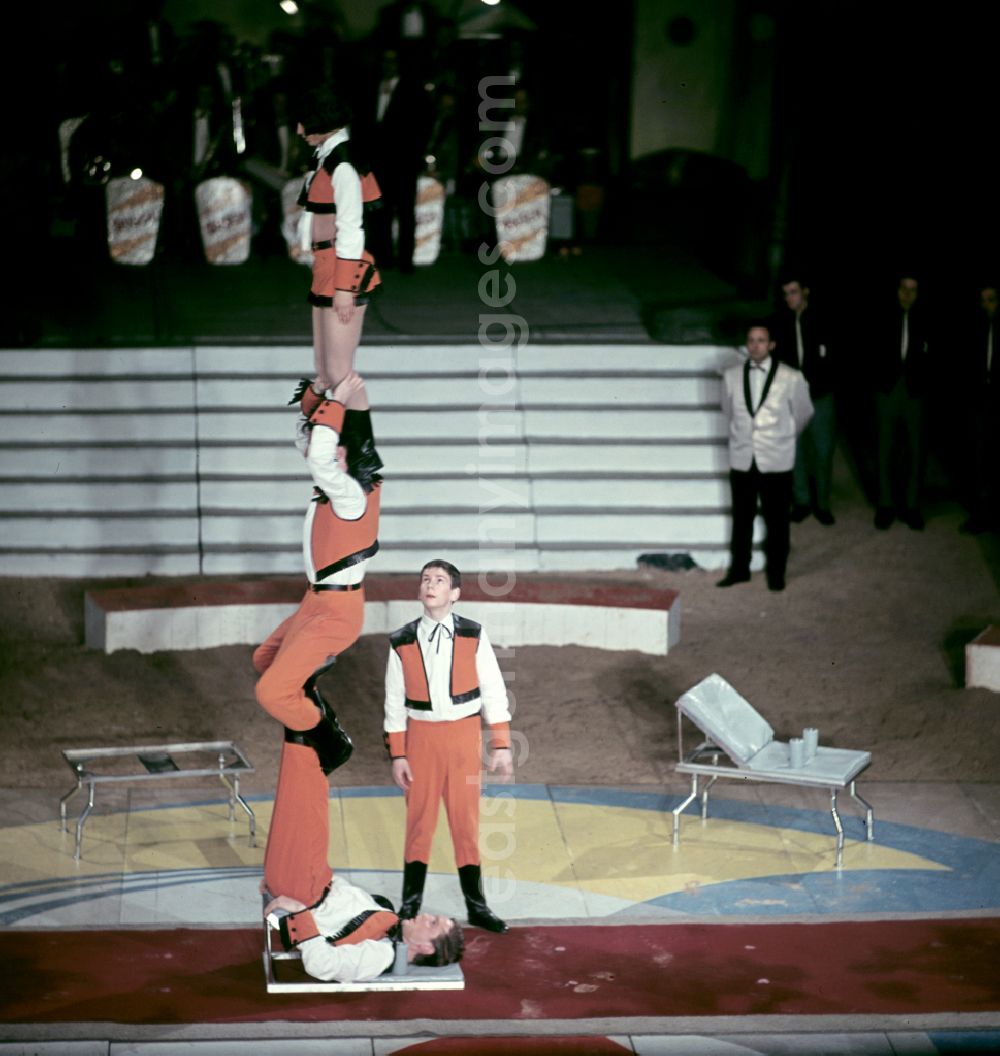 Berlin: Acrobatic performance in the ring of the Circus Busch in Berlin East Berlin in the territory of the former GDR, German Democratic Republic