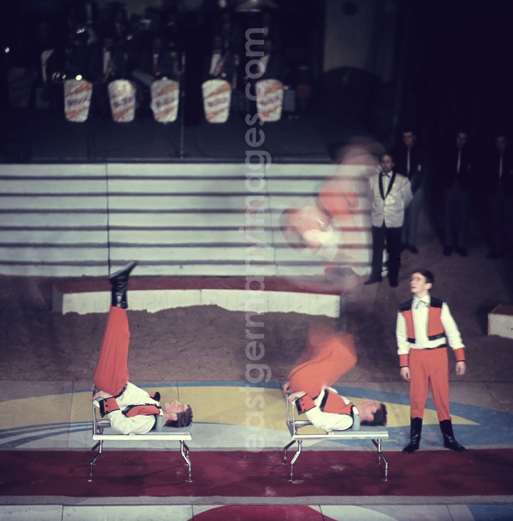 GDR image archive: Berlin - Acrobatic performance in the ring of the Circus Busch in Berlin East Berlin in the territory of the former GDR, German Democratic Republic