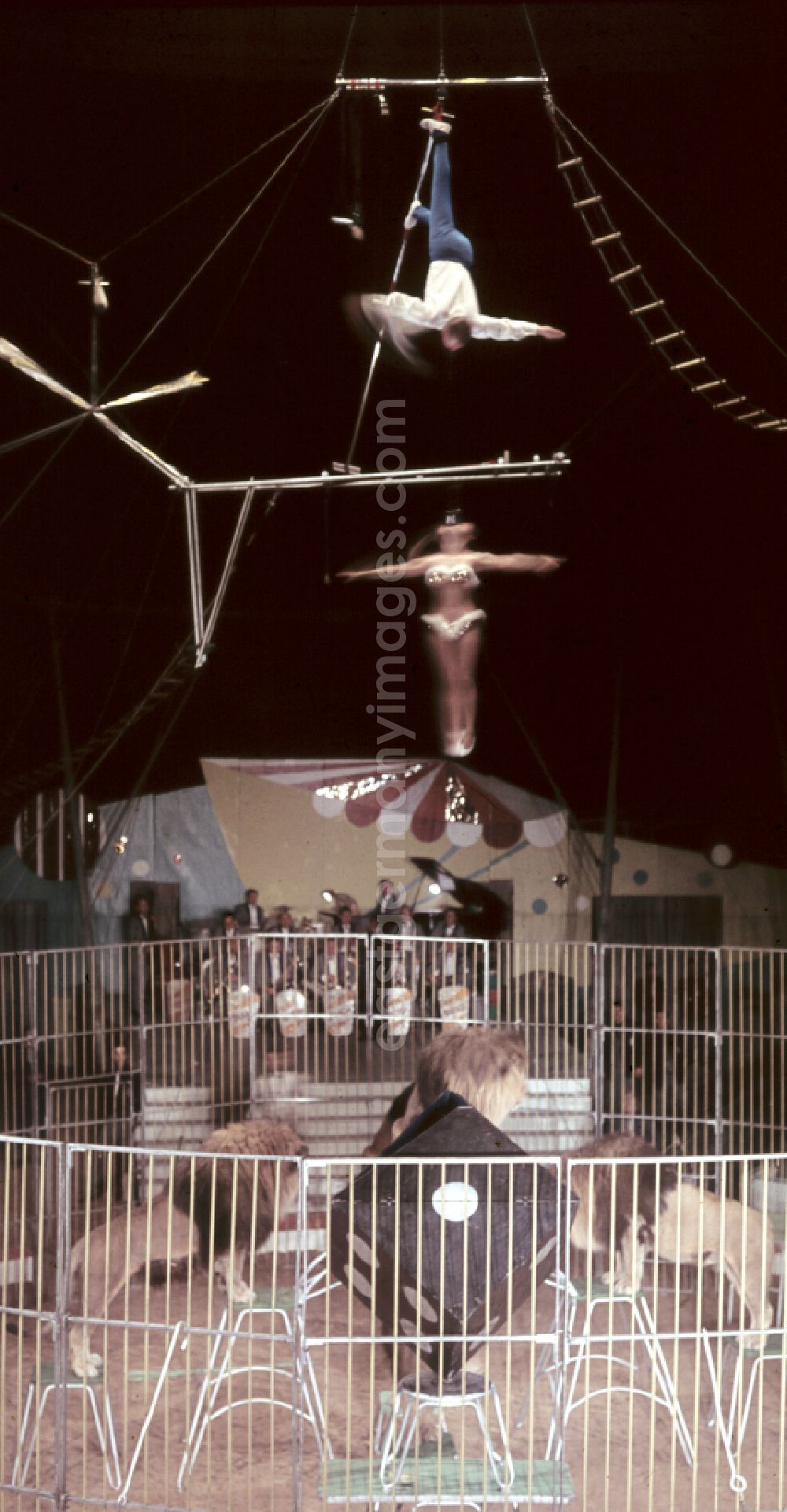 GDR picture archive: Berlin - High-wire artistry in the ring of the Circus Busch in Berlin, East Berlin, in the territory of the former GDR, German Democratic Republic