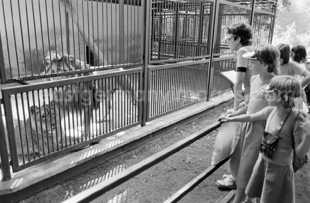 Eberswalde: Visitors at a zoo enclosure on the street Am Wasserfall in Eberswalde, Brandenburg in the territory of the former GDR, German Democratic Republic