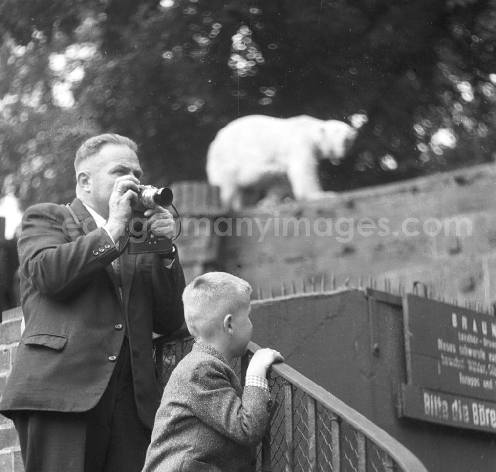 Leipzig: Ein Mann mit Fotoapparat und ein Junge im Zoo von Leipzig. Im Hintergrund ist ein Eisbär zu sehen. Der Zoo / Zoologischer Garten in Leipzig ist bekannt für sein Artenreichtum. Bestmögliche Qualität nach Vorlage!