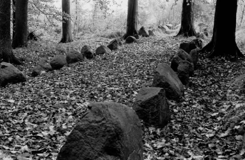 Eversdorf - Mecklenburg-Vorpommern
Geschützte Bodendenkmale im Eversdorfer Forst 'Krs. Grevesmühlen'
07.11.9