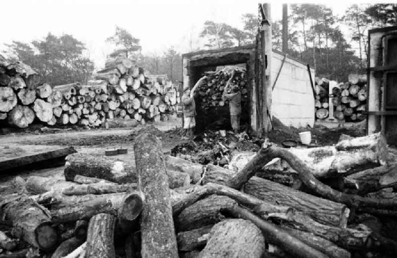 Holzverarbeitung / Land - Sachsen-Anhalt

Umschlag:71