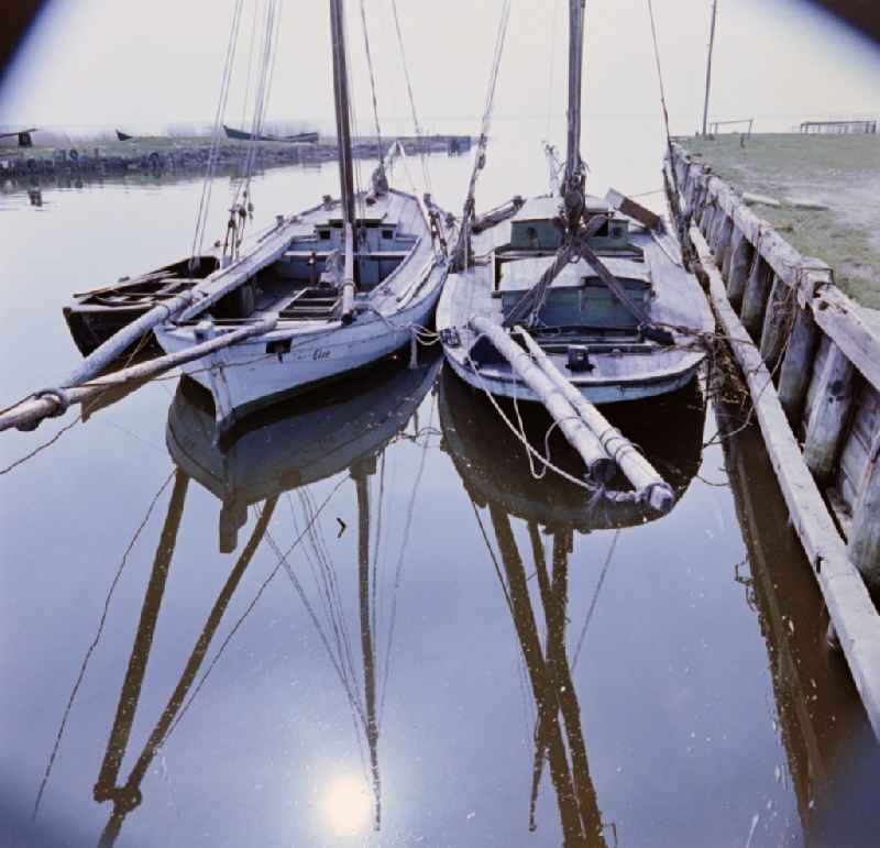 Ships at a harbour at the Bodden near Ahrenshoop in the state Mecklenburg-Western Pomerania on the territory of the former GDR, German Democratic Republic