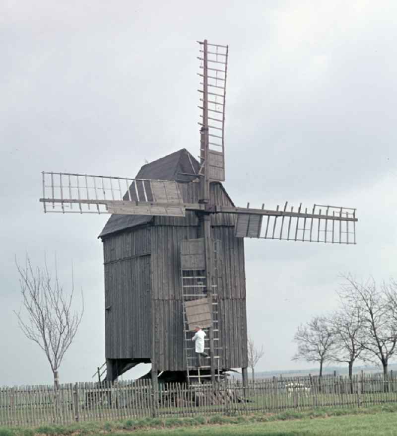 Historic wooden post mill on Trebbiner Strasse in Beelitz, Brandenburg in the area of the former GDR, German Democratic Republic