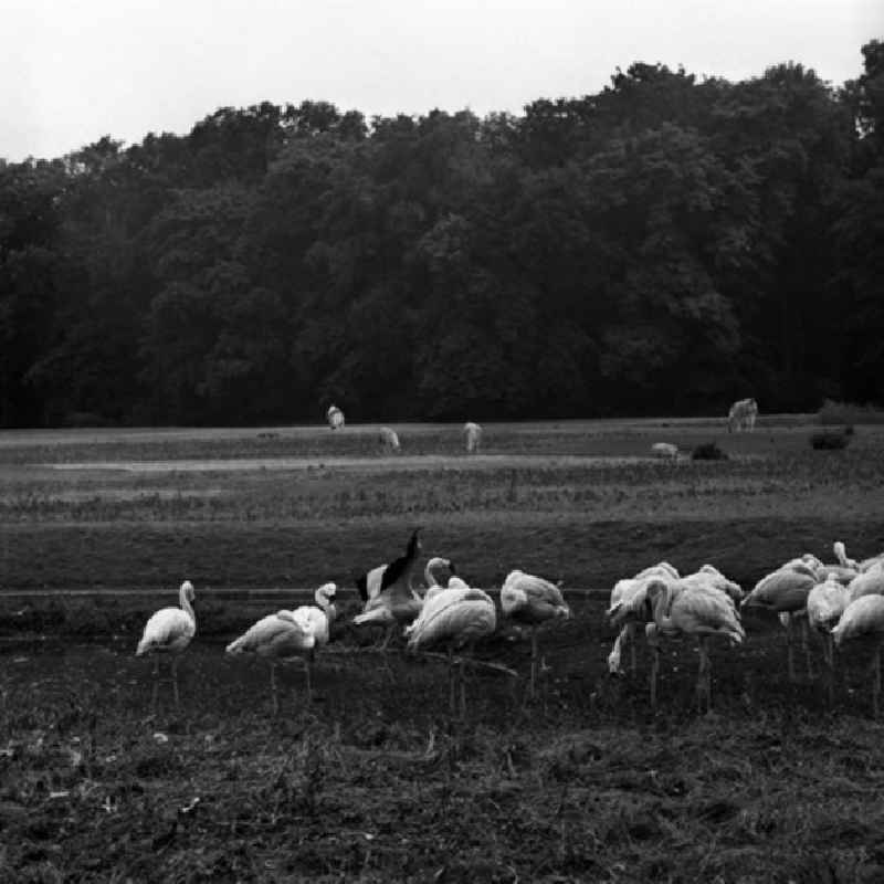 Besuch im Tierpark Berlin - Friedrichsfelde.