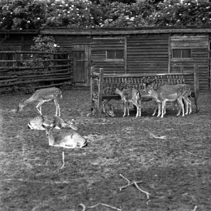 Besuch im Tierpark Berlin - Friedrichsfelde.