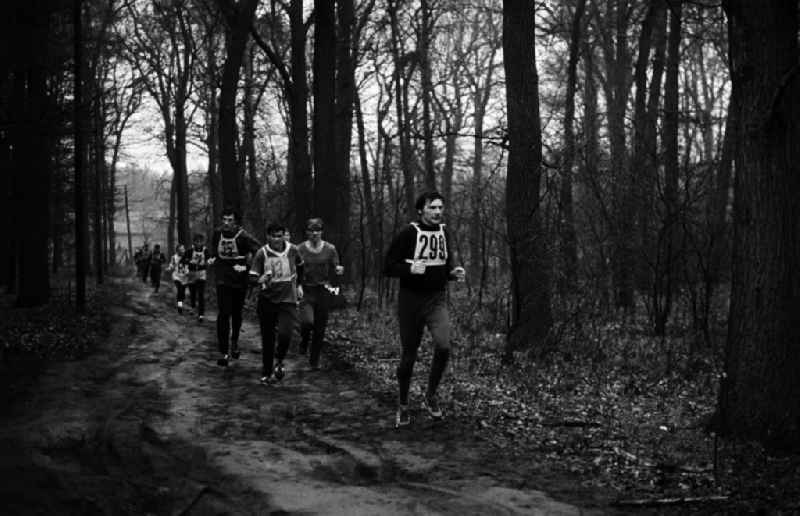 Freizeitsportler / Sportler während einem Crosslauf / Ausdauerlauf in einem Park in Aktion.