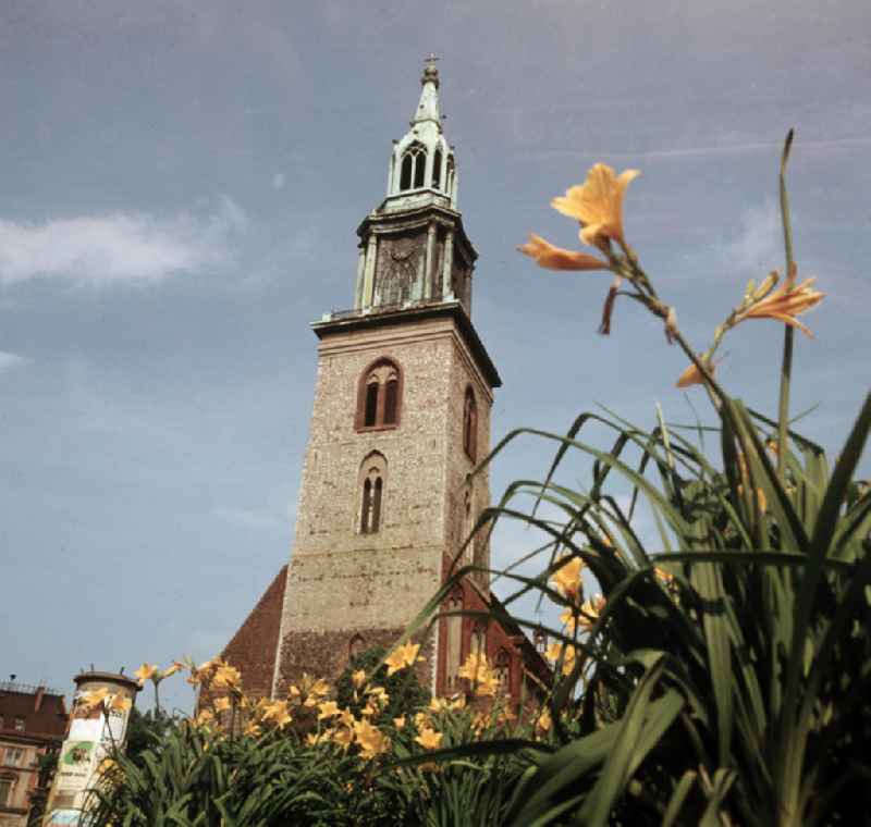 Blick auf die St.-Marien-Kirche an der Karl-Liebknecht-Straße nahe Alexanderplatz in Berlin-Mitte.