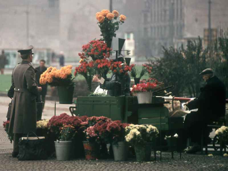 Verkaufsstand für Blumen auf dem Berliner Alexanderplatz.