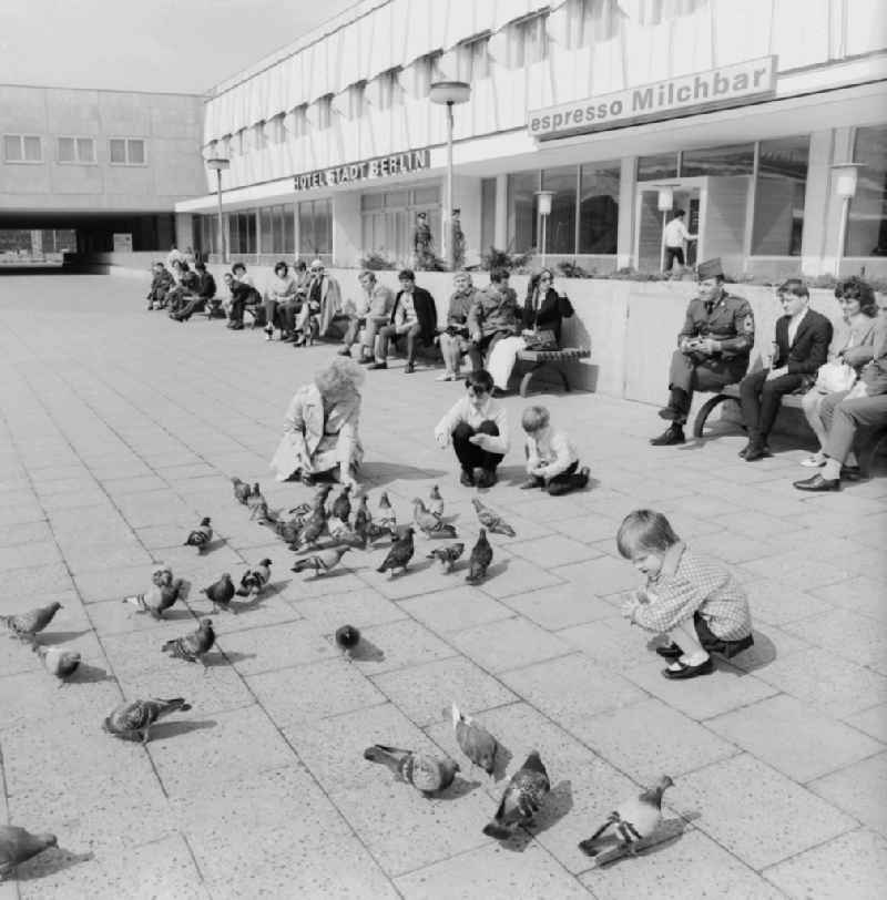 Children feeding pigeons on the Alexanderplatz in Berlin. At The Edge Of sitting tourists and Berlin on benches and watch. In the background the espresso milk bar and the back entrance from the hotel Berlin