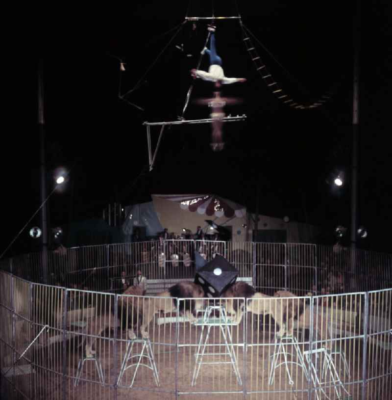 High-wire artistry in the ring of the Circus Busch in Berlin, East Berlin, in the territory of the former GDR, German Democratic Republic