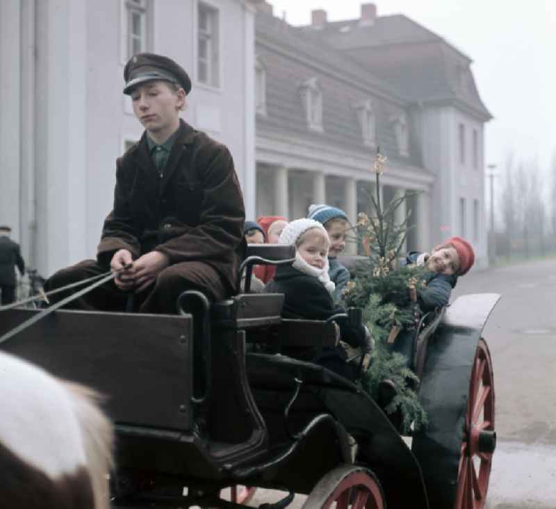 Horse-drawn carriage with children on a short excursion through the gate of the Berlin Zoo at Friedrichsfelde Palace in East Berlin on the territory of the former GDR, German Democratic Republic