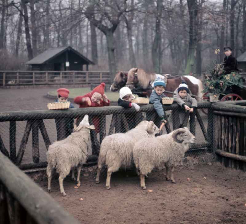 Visitors at a zoo enclosure with sheep on street Am Tierpark in Berlin Eastberlin on the territory of the former GDR, German Democratic Republic