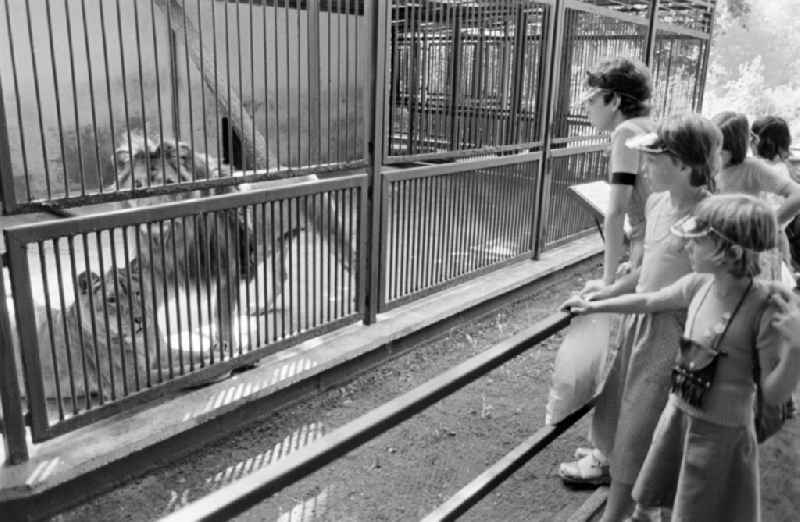 Visitors at a zoo enclosure on the street Am Wasserfall in Eberswalde, Brandenburg in the territory of the former GDR, German Democratic Republic