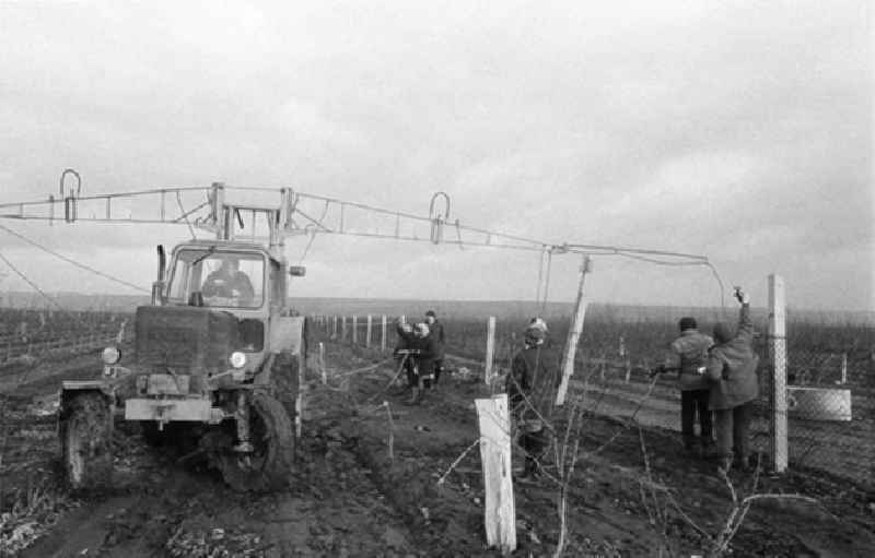 01.02.1982
Pneumatischer Obstbaumschnitt der VEG Eisleben

Umschlagnr.: 10