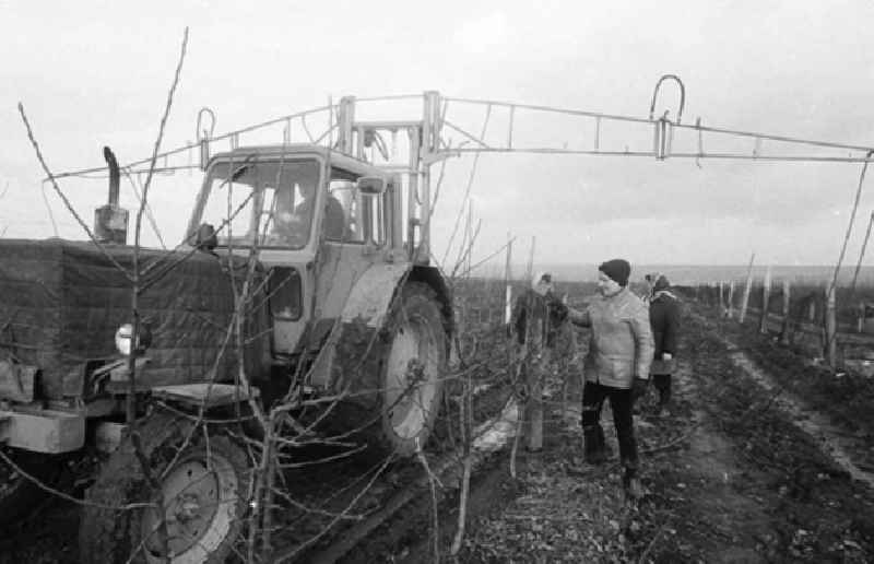 01.02.1982
Pneumatischer Obstbaumschnitt der VEG Eisleben

Umschlagnr.: 10