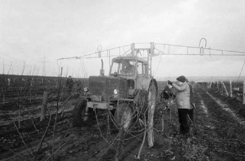 01.02.1982
Pneumatischer Obstbaumschnitt der VEG Eisleben

Umschlagnr.: 10