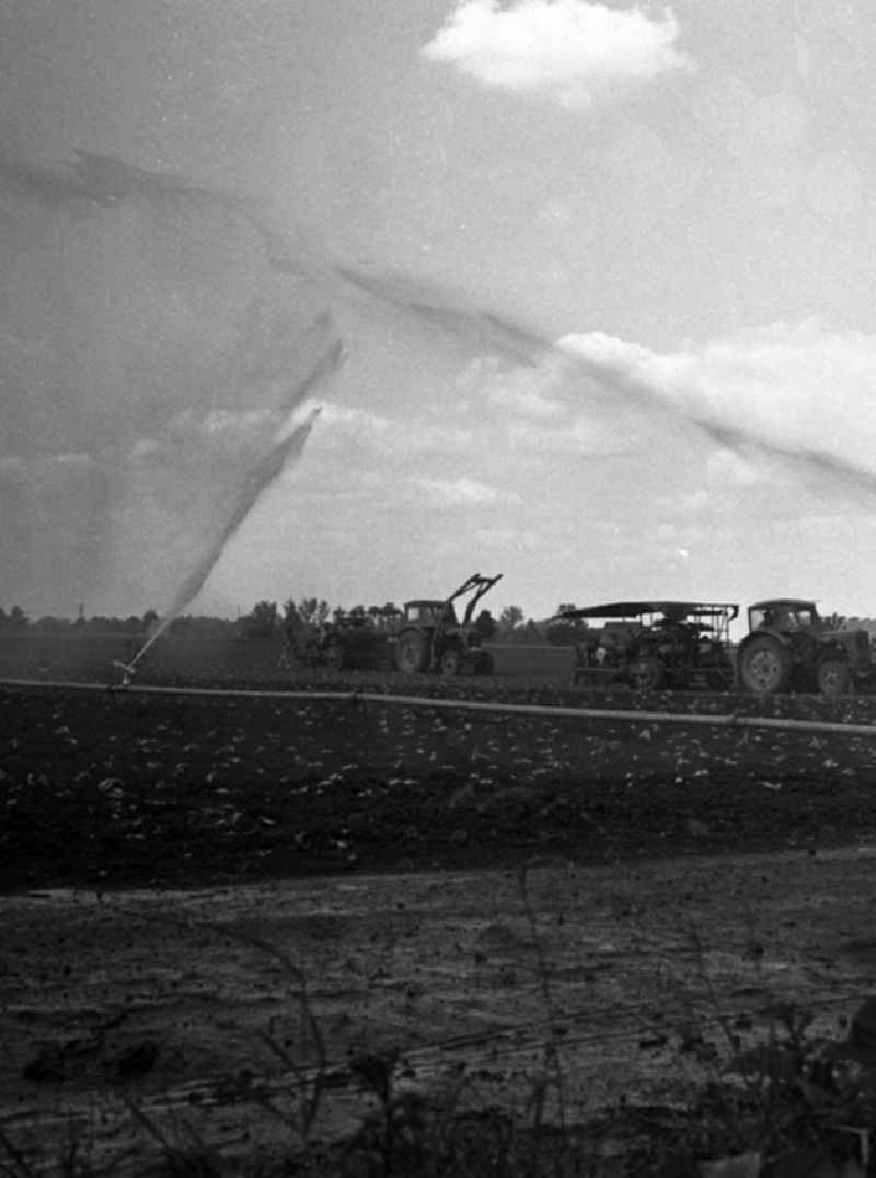 Landwirtschaftliche Produktionsgenossenschaft
Melioration (Bodenbewässerung) bei der LPG - Einheit in Golzow.