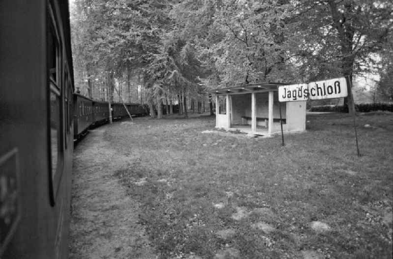 Train stop of the Ruegensche Baederbahn - Rasender Roland train on the railway station grounds of the Deutsche Reichsbahn narrow-gauge railway in Granitz, Mecklenburg-Western Pomerania - island Ruegen in the territory of the former GDR, German Democratic Republic