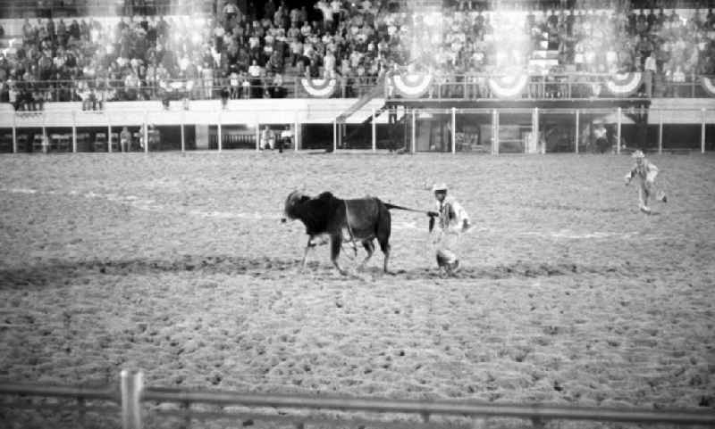 In der Nationalen Rodeo-Arena in Havanna werden regelmäßig Reitwettbewerbe, Clownsaufführungen und Bullen-Zureiten präsentiert.